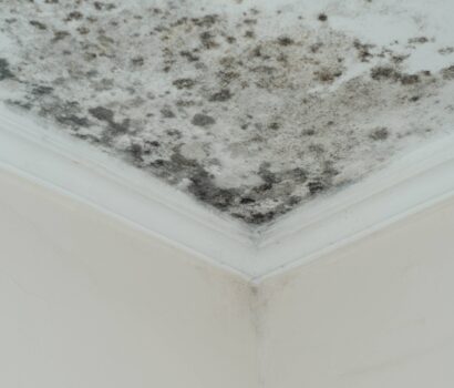 Problems With Mold? Don't Forget to Clean Your Air Ducts!