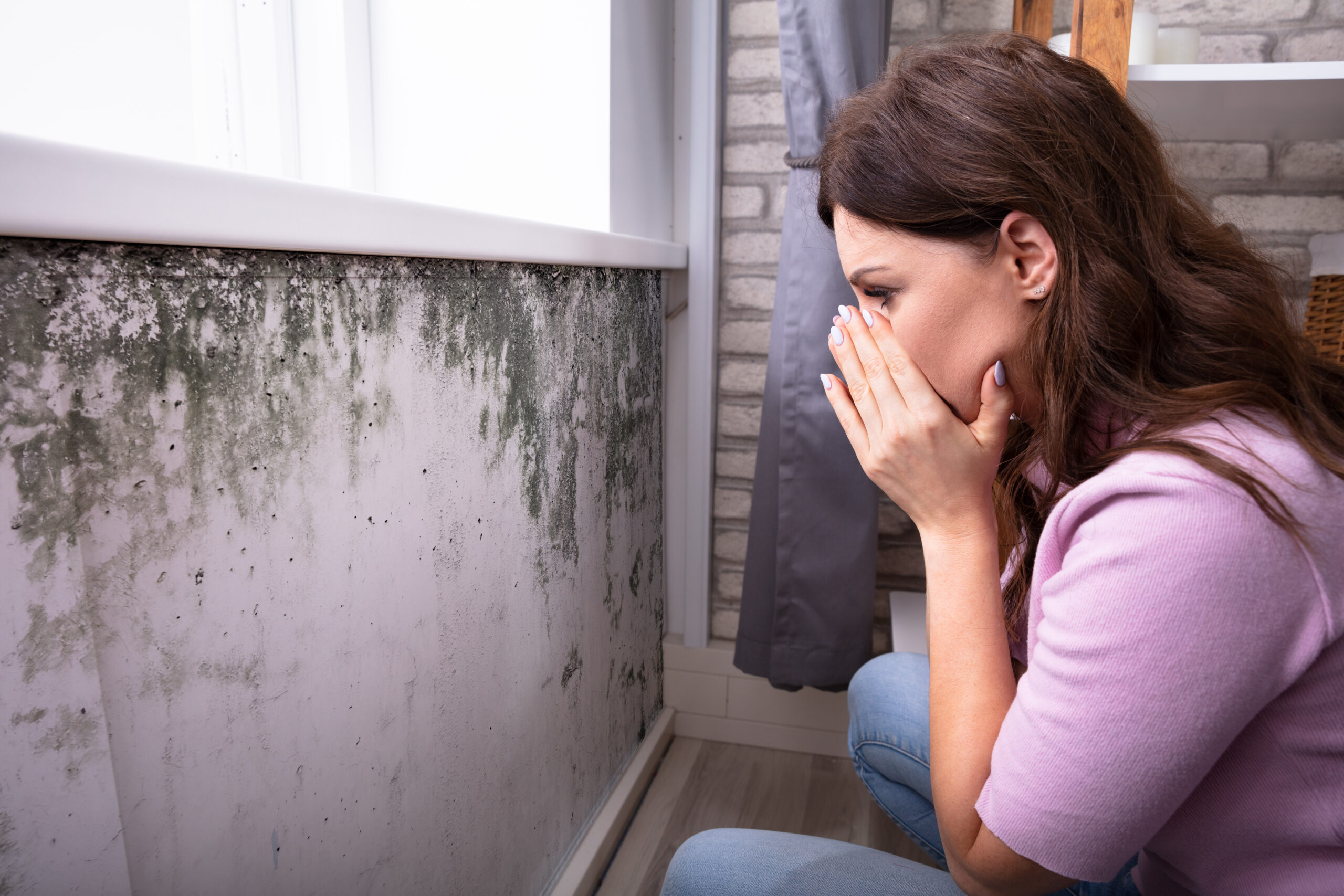 The Dangers of Mold: Why You Shouldn't Wait to Get Rid of It