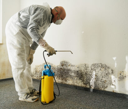 Why Hiring a Professional Mold Remediation Company is Worth the Investment
