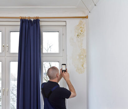 Common Causes of Mold Growth in Homes and Businesses
