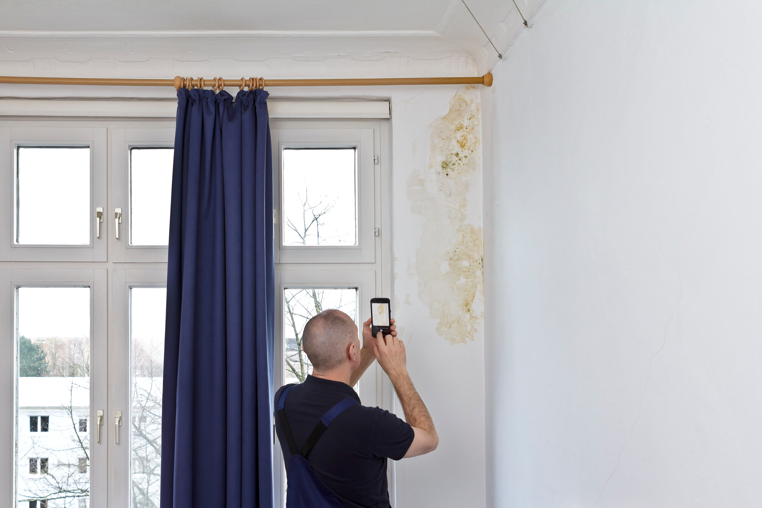 Common Causes of Mold Growth in Homes and Businesses