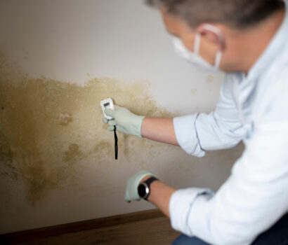 The Crucial Role Of Professional Mold Testing
