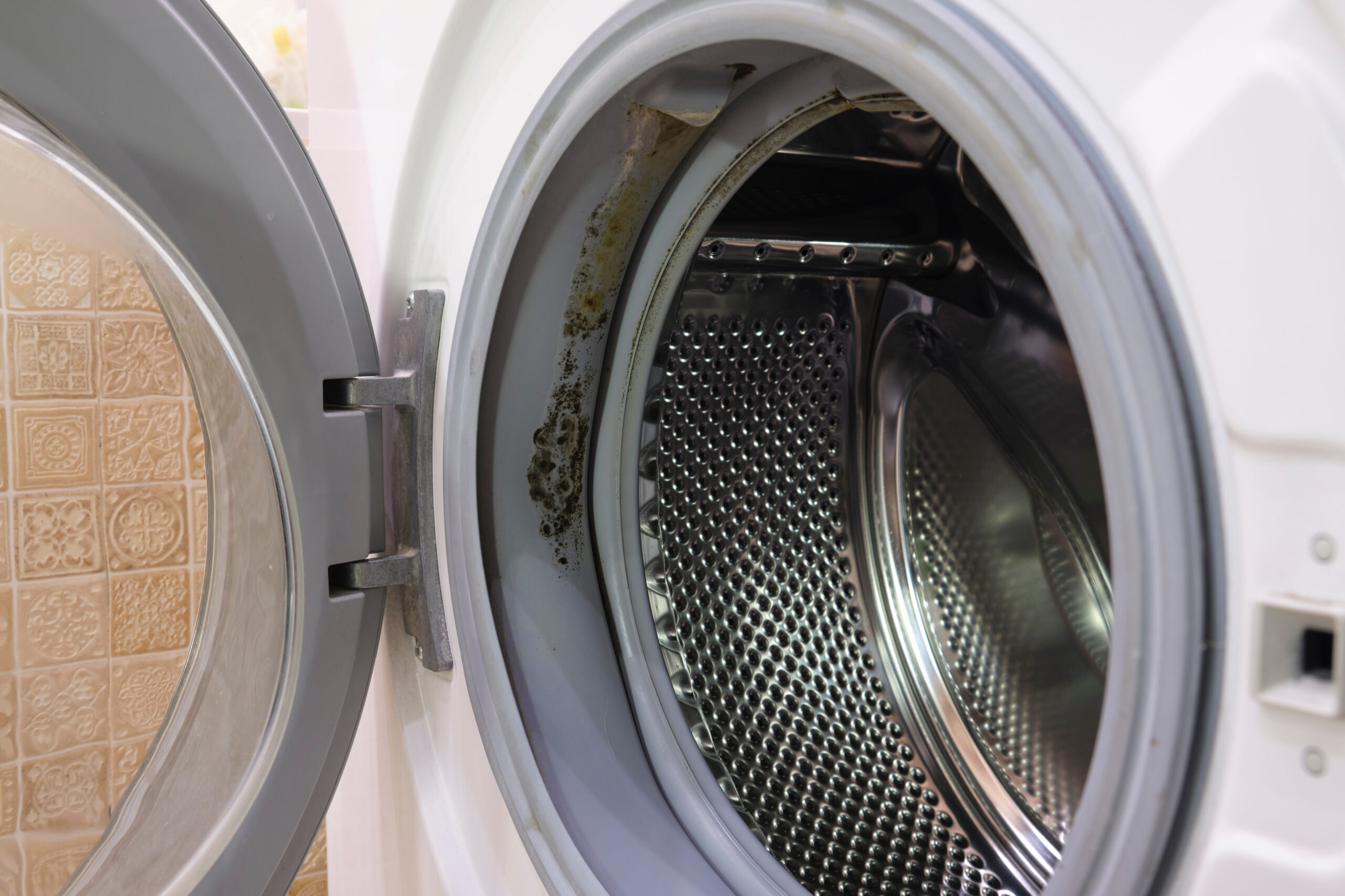 Preventing Mold from Growing in your Washing Machine